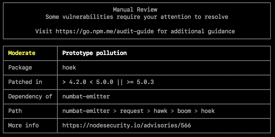 exemplos do npm audit